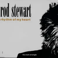 Rhythm of My Heart